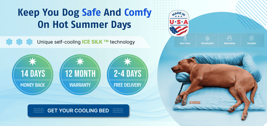 Keep you dog cool and Comfy on hot summer days